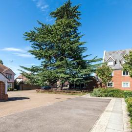 Cedar | Professional Accommodation | Sleeps 4
