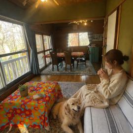 ただの家 ペット可 ゆっくり眠れる森の中, hotel a Shinano