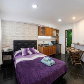 CHE LOLITA HOUSE, hotel in Buenos Aires