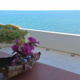 Il Ginepro House 20 meters from the sea - wifi - park - relax