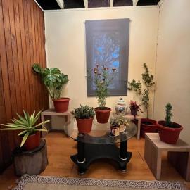 Cochrane hostal, Hotel in Los Ángeles
