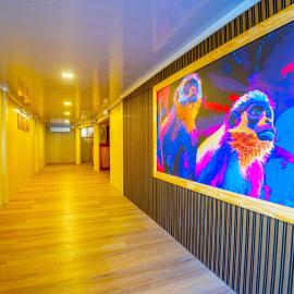 The Social Fortuna, hotel in Fortuna