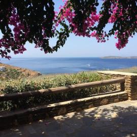 Vila Cleopatra Andros Greece