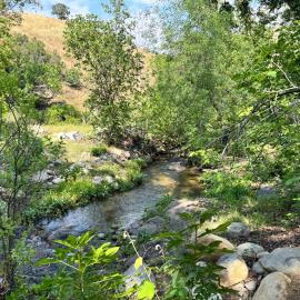 River Retreat near Sequoia National Park, hotel in Three Rivers