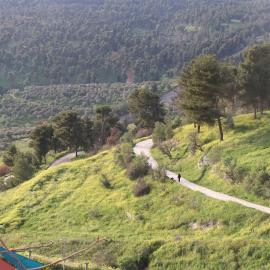 חדשה בעתיקה - צפת, hotel di Safed