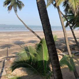 Aman Place, hôtel à Murud