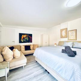 2BR Apt & LR with Terrace, Close to Museum Gugging, hotel in Klosterneuburg