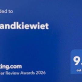 Strandkiewiet
