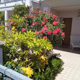 PROMO! Airport and station retreat