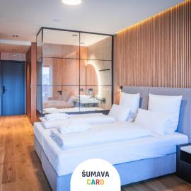 Magnetit Hotel Šumava、ジェレズナー・ルダのホテル
