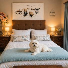 UITZICHT STAY Durbanville Pet Friendly, hotel in Oakdale
