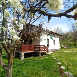 Căsuța din Livadă Schiulesti، فندق في Schiuleşti