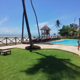 Eco Paradise 228