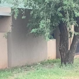 Mkhuzewamanzi Accommodation, hotel in Mkuze