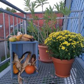 Ferienwohnung Nordwind