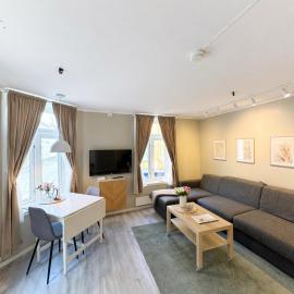 Stor attraktiv studioleilighet i sentrum