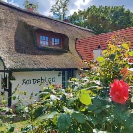 Idyllische Auszeit im Reetdachhaus am Wehlen