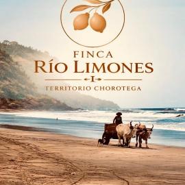 Finca Rio Limones - Territorio Chorotega, hotel in Santa Cruz
