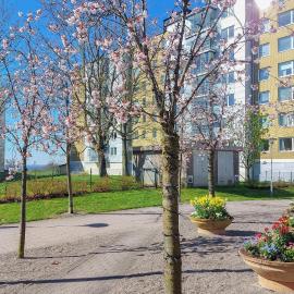 1 Bedroom Cozy Apartment In Helsingborg