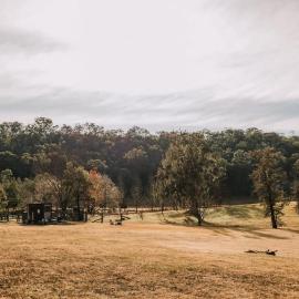 The Wollombi Wanderer by Tiny Away、ウォロンビーのホテル