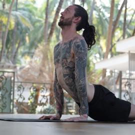 Palm Trees Yoga Resort, Hotel in Canacona