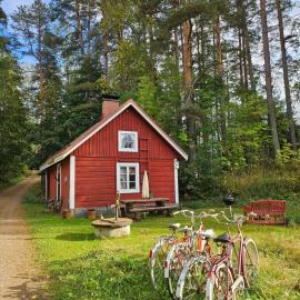 Romantic Countryside Sauna Cabin near Lake Päijänne, hotel sa Maakeski
