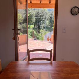 Phénix de Can Viçens Gîte