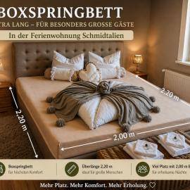 Ferienwohnung Schmidtalien,inklusive Infrarotsauna，Dommitzsch的飯店