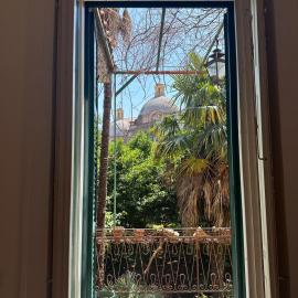 La casa delle camelie