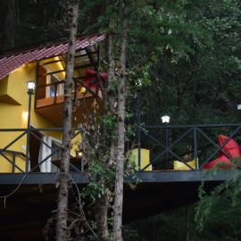 The dreamers nest