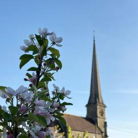 Tŷ Twt, hotel u gradu 'Pontardawe'
