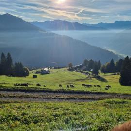 Ferien auf dem Bergrbauernhof Falider