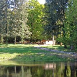 Roulotte des Hêtres au Domaine de Vauguenige, hotell i Villarcoin
