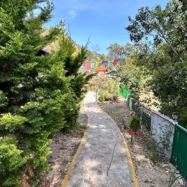 Danma Retreat, hotel a Nainital