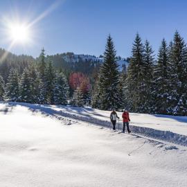 Feriendorf Wildschönau -Cozy Escape