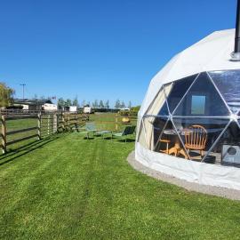 alpaca view Dome, hotel in New Holland
