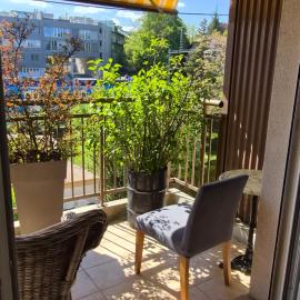 Sunny Place Geneva 15 min Train, hotel em Versoix