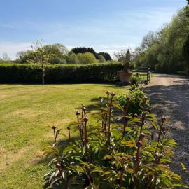 Dorset Hot Tub Escape for Two Meet the Alpacas in Woodlands, hotel a Horton