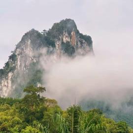 KhaoSok Malin Glamping、Ban Bang Thongのホテル
