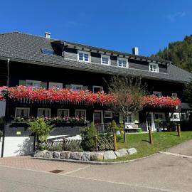 Gästehaus Erika、メンツェンシュヴァントのホテル