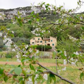 Agriturismo Alveare, hotel in Finale Ligure