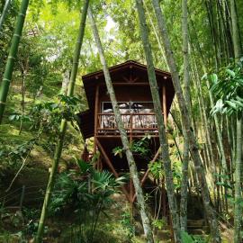 Cocorná में, होटल La Chorrera ecohotel