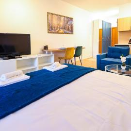 Blue Nest Studio - Free Parking and Mountain View
