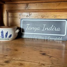 Tanya Indira โรงแรมในCsanytelek