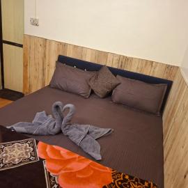 OyO 48992 MARIA GUEST HOUSE, hotell i Colva