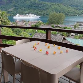 Tropical Cruise Cook's Bay Paopao Moorea