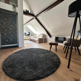 Haus Lilium-Gemütliche Dachgeschoss Wohnung, Hotel in Freudenstadt