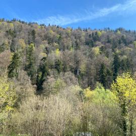 Am Wald, Am Berg, hotel u gradu Unterreichenbach