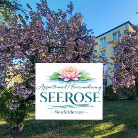 Appartement - Wohnung SEEROSE 50 m2 Neufeldersee