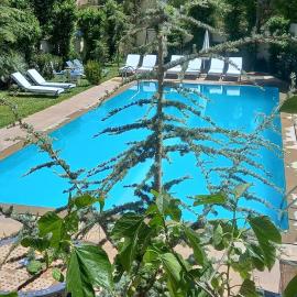 Villa Pomme d'Or, hotel in Midelt